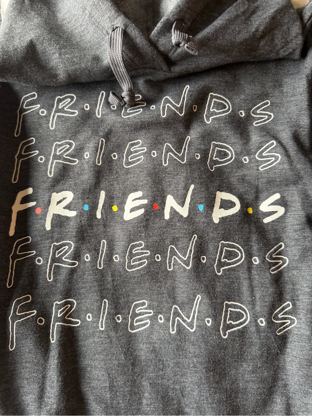 Friends Logo Charcoal Gray Hoodie Sweater - Picture 2 of 2